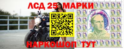 молекула духа Кулебаки