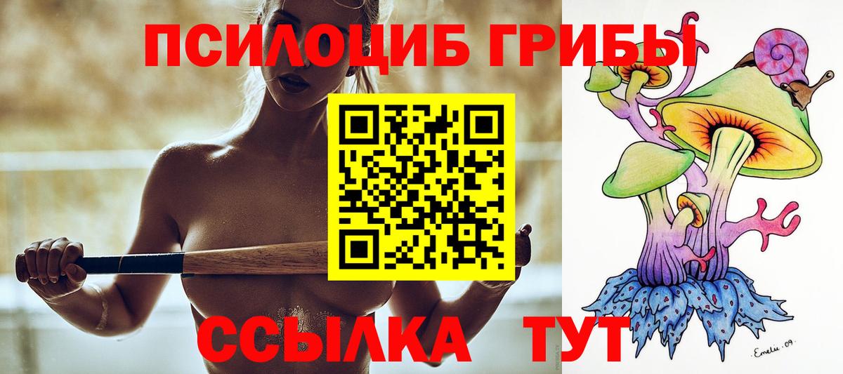 Галлюциногенные грибы Cubensis Ярцево